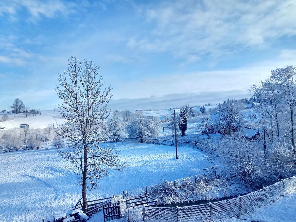 Вілла Дзвін Карпат Лазещина Екстер'єр фото